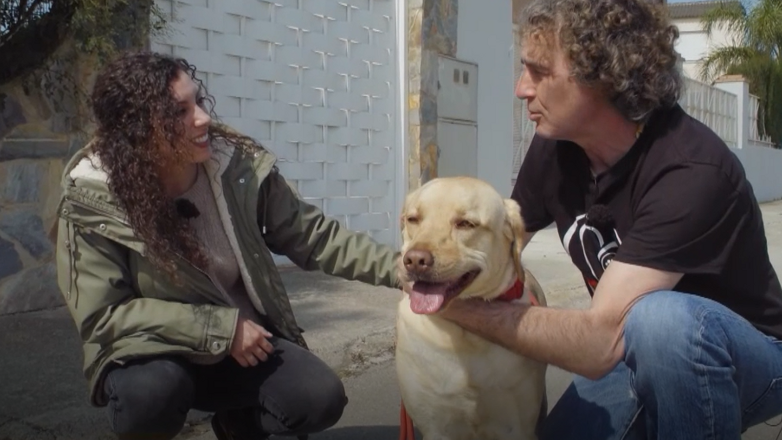 Quan els gossos són terapèutics