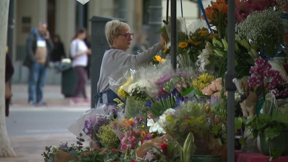 Una florista de la plaça de l'Ajuntament de València organitza la seua parada Una florista de la plaça de l'Ajuntament de València adreça la seua parada