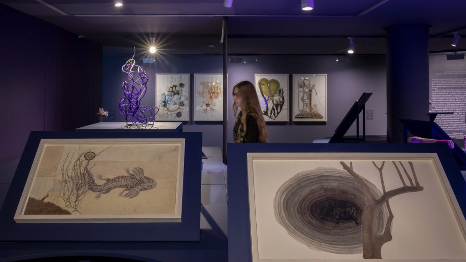 Exposició de Melanie Smith