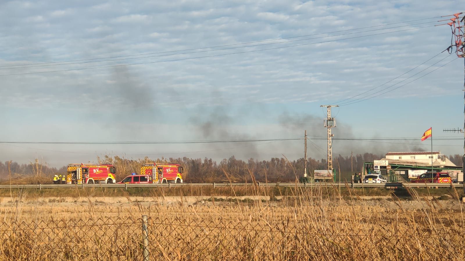 L'incendi de vegetació, a l'altura de l'Albufera de València