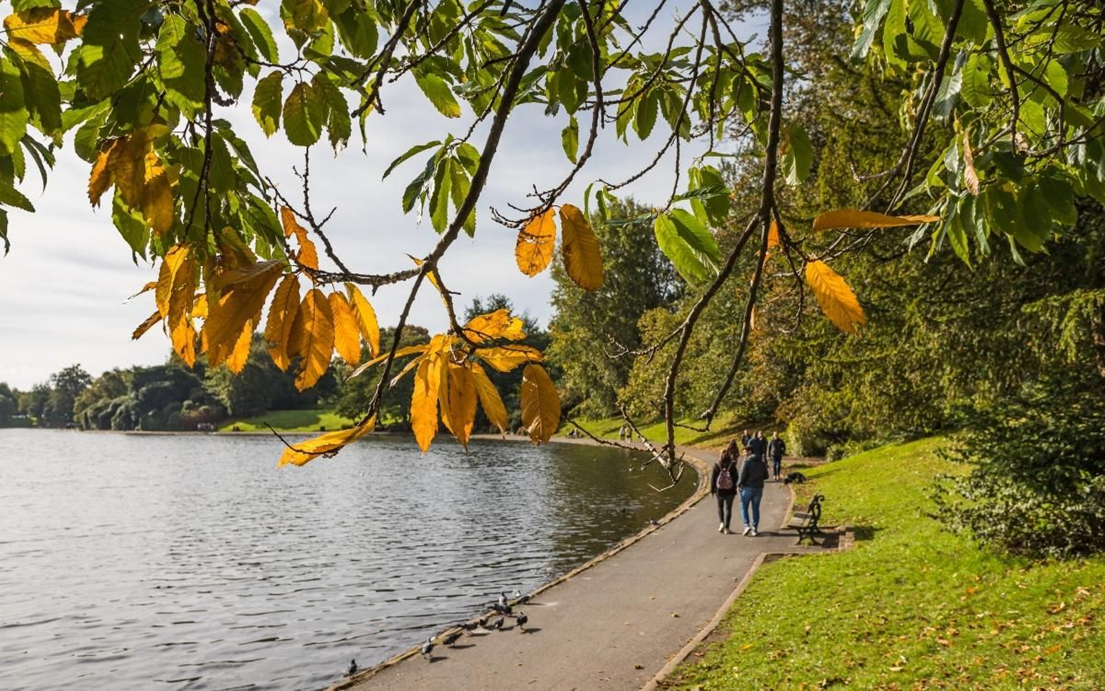 Sefton Park, un dels parcs més grans de Liverpool