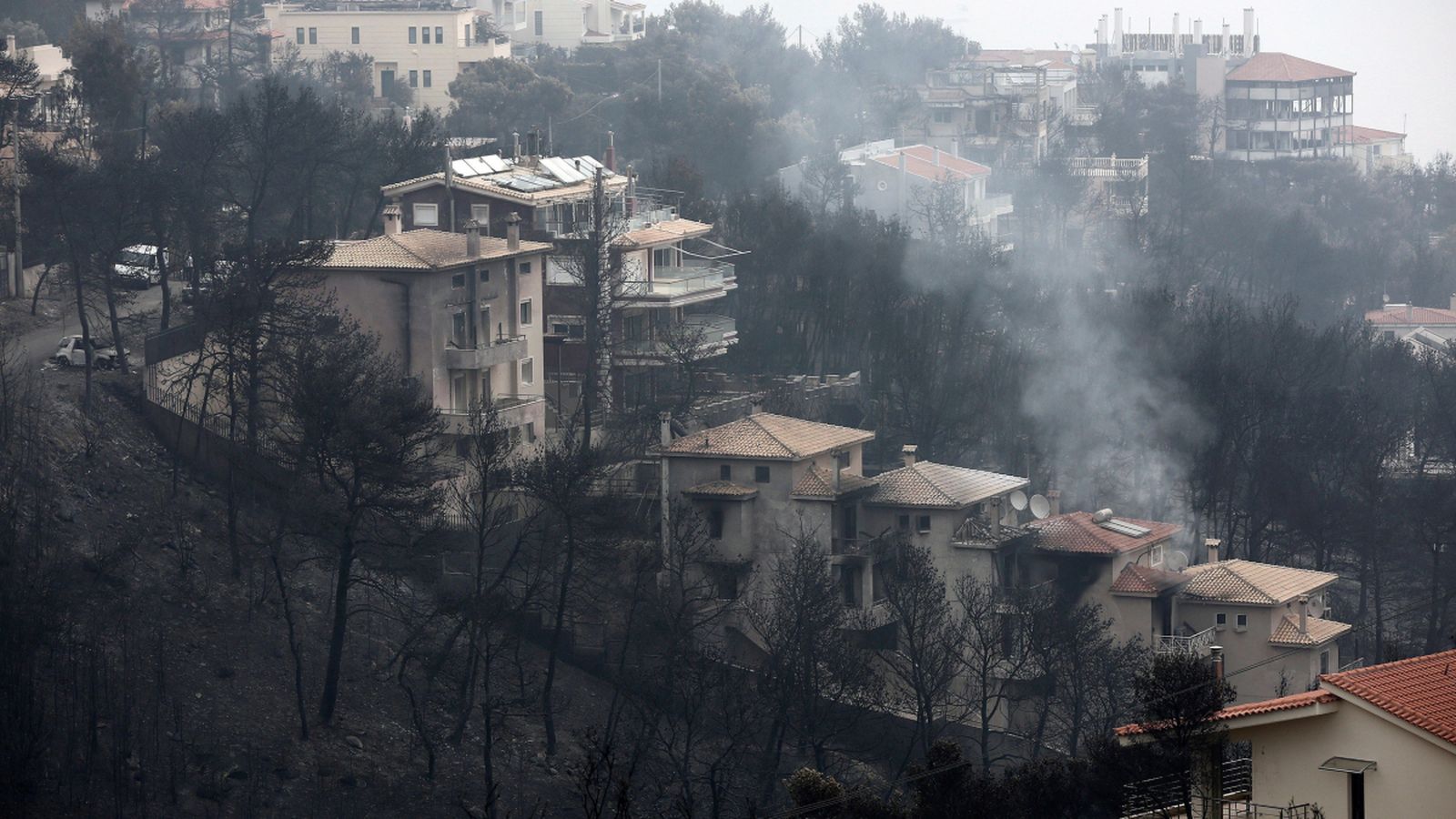 Una zona arrasada per les flames en Neo Voutza, en el nord-est d'Attica (Grècia)