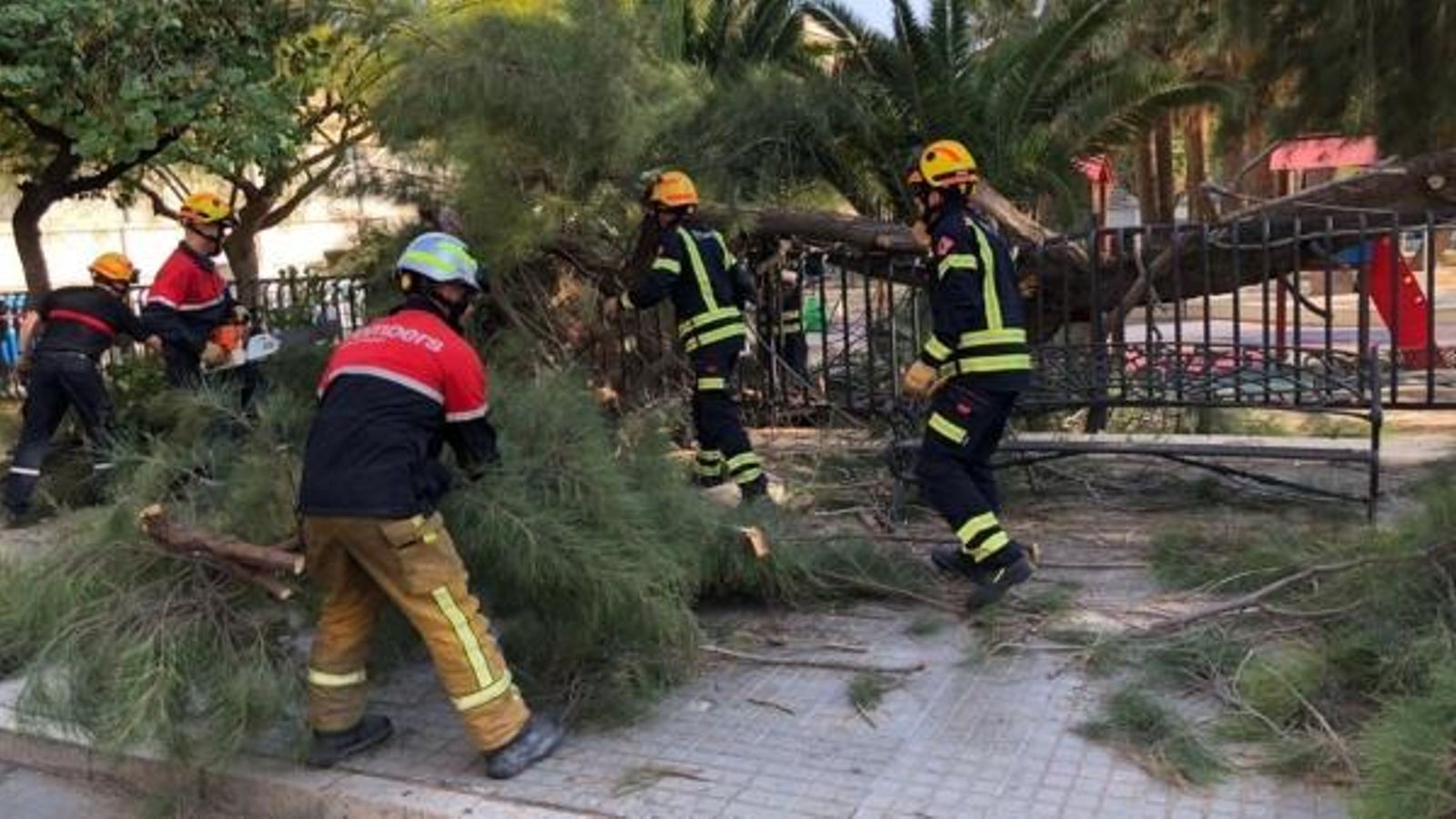 L'arbre ha cedit, ha caigut damunt d'una tanca i una de les branques ha colpejat les persones que estaven assegudes.