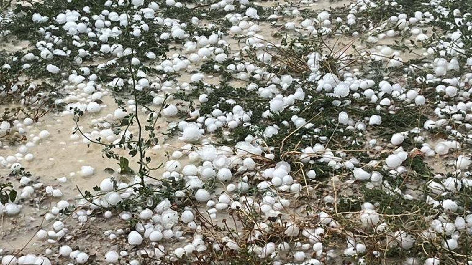 Granís després del pas de la tempesta