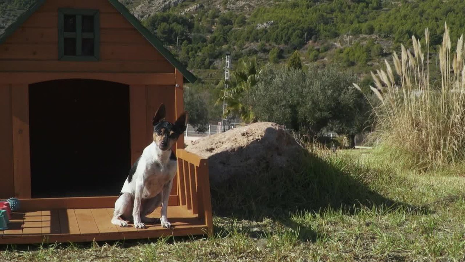 01.07.2018 | La patrulla canina de bombers