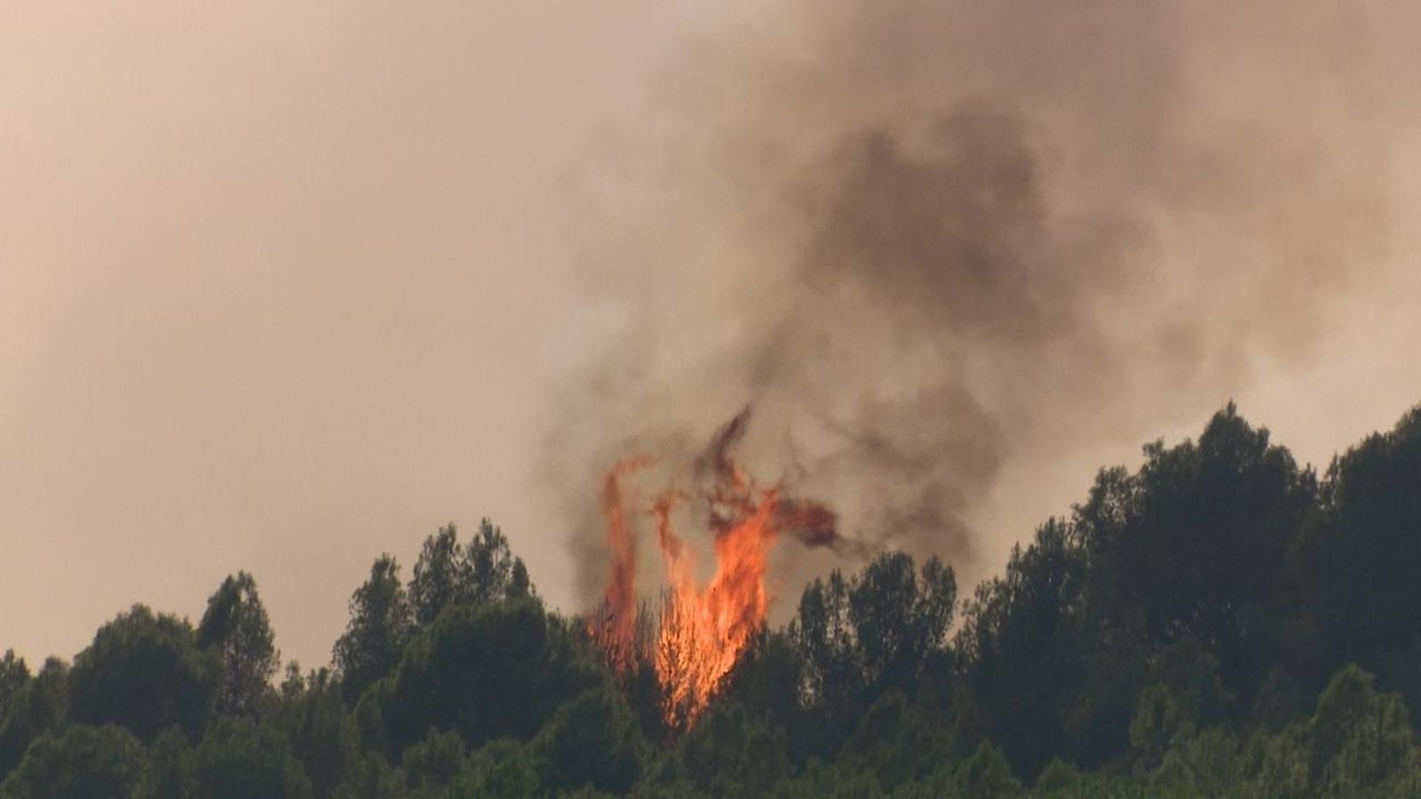 Incendi forestal a Simat de la Valldigna