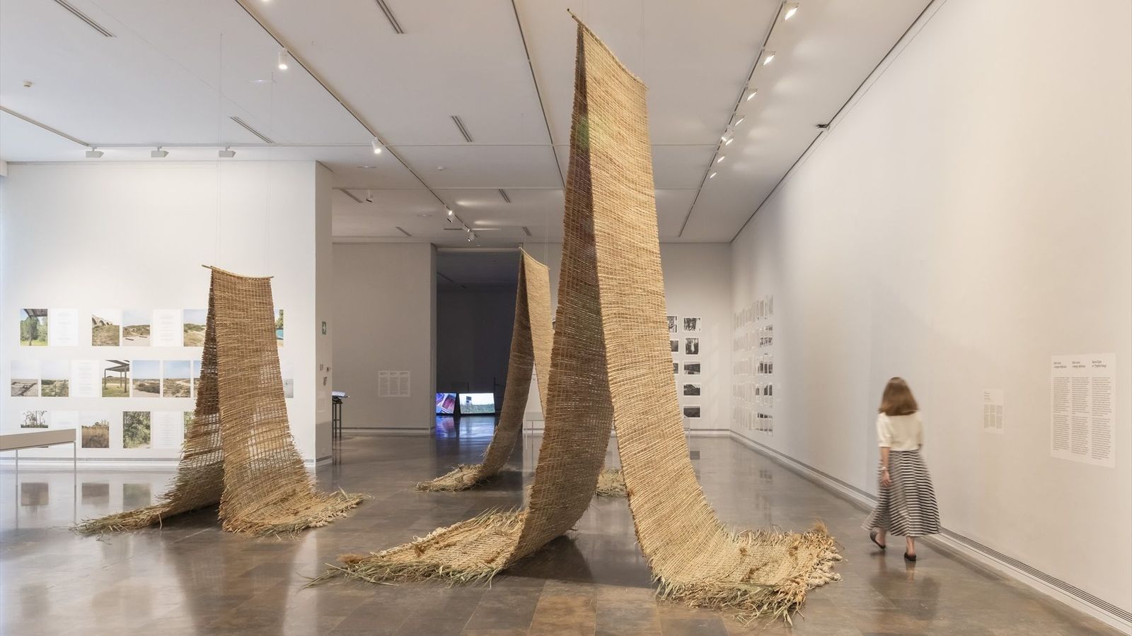 Exposició sobre l'Albufera en el Institut Valencià d'Art Modern