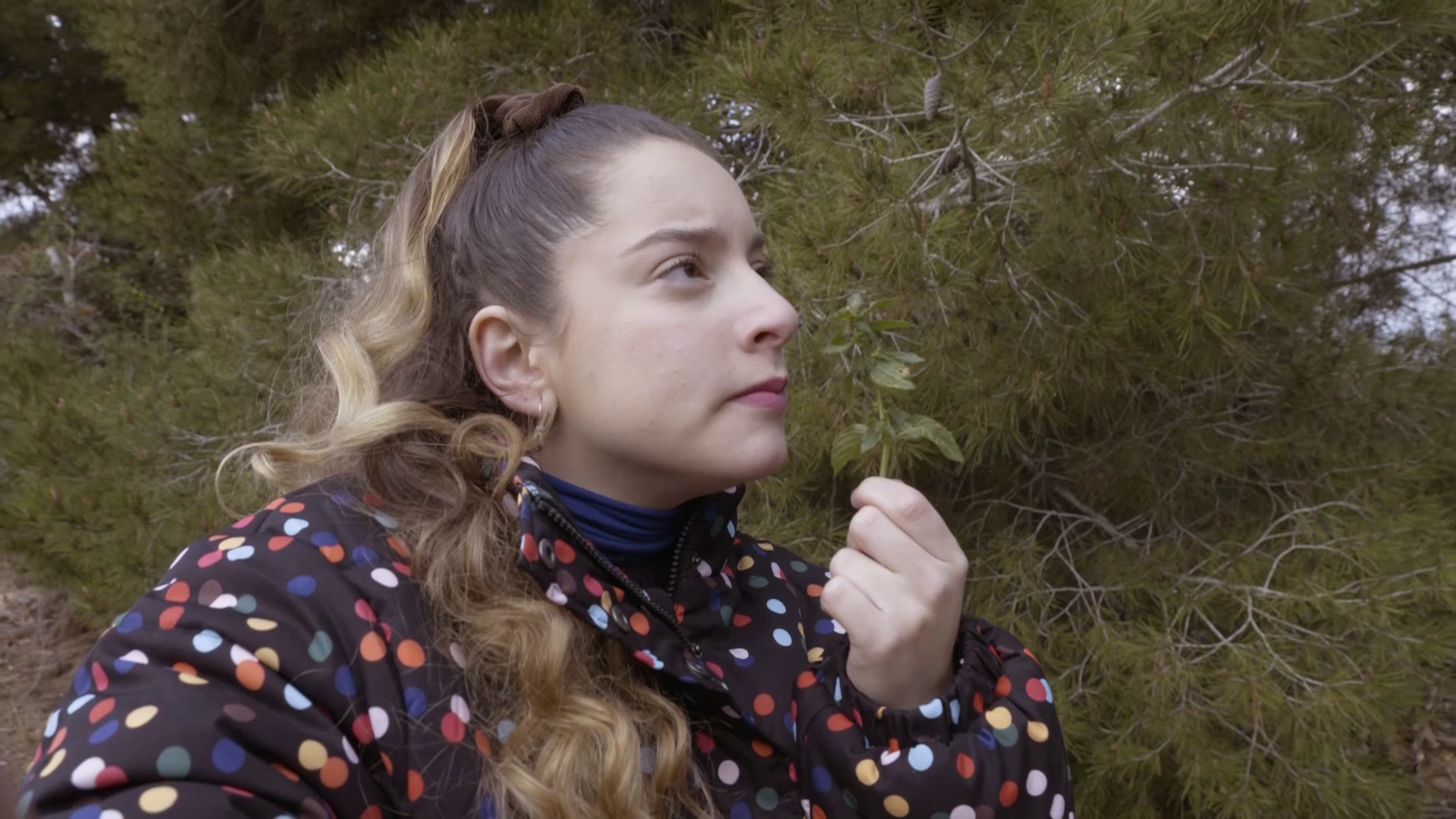 La Colla Animal | Animals confusos