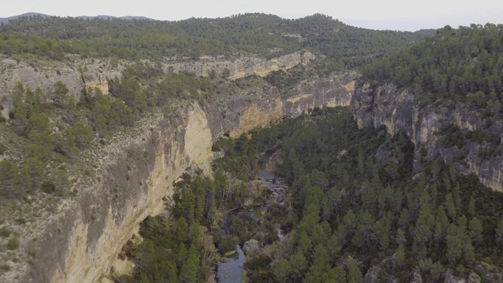 29.02.2020 | Dret ambiental: David contra Goliat