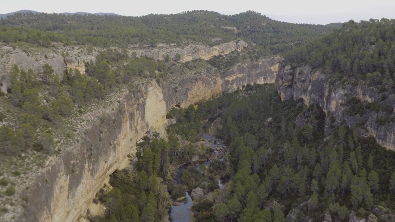 29.02.2020 | Dret ambiental: David contra Goliat