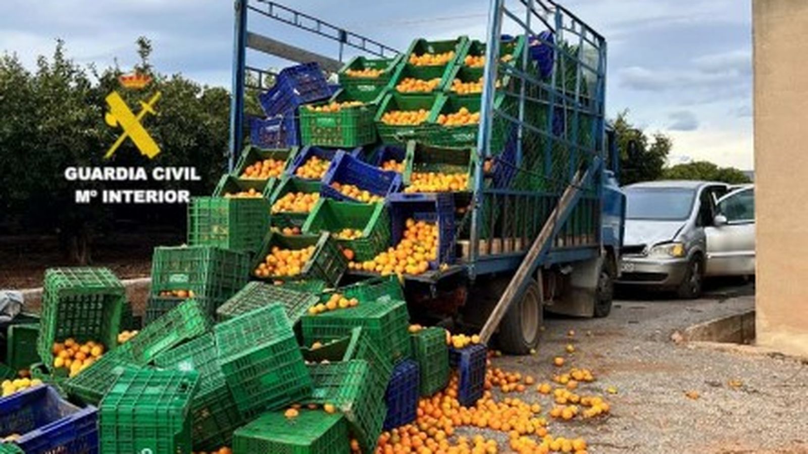 Durant la persecució va circular per camins fins que va impactar contra un camió de recol·lecció de cítrics