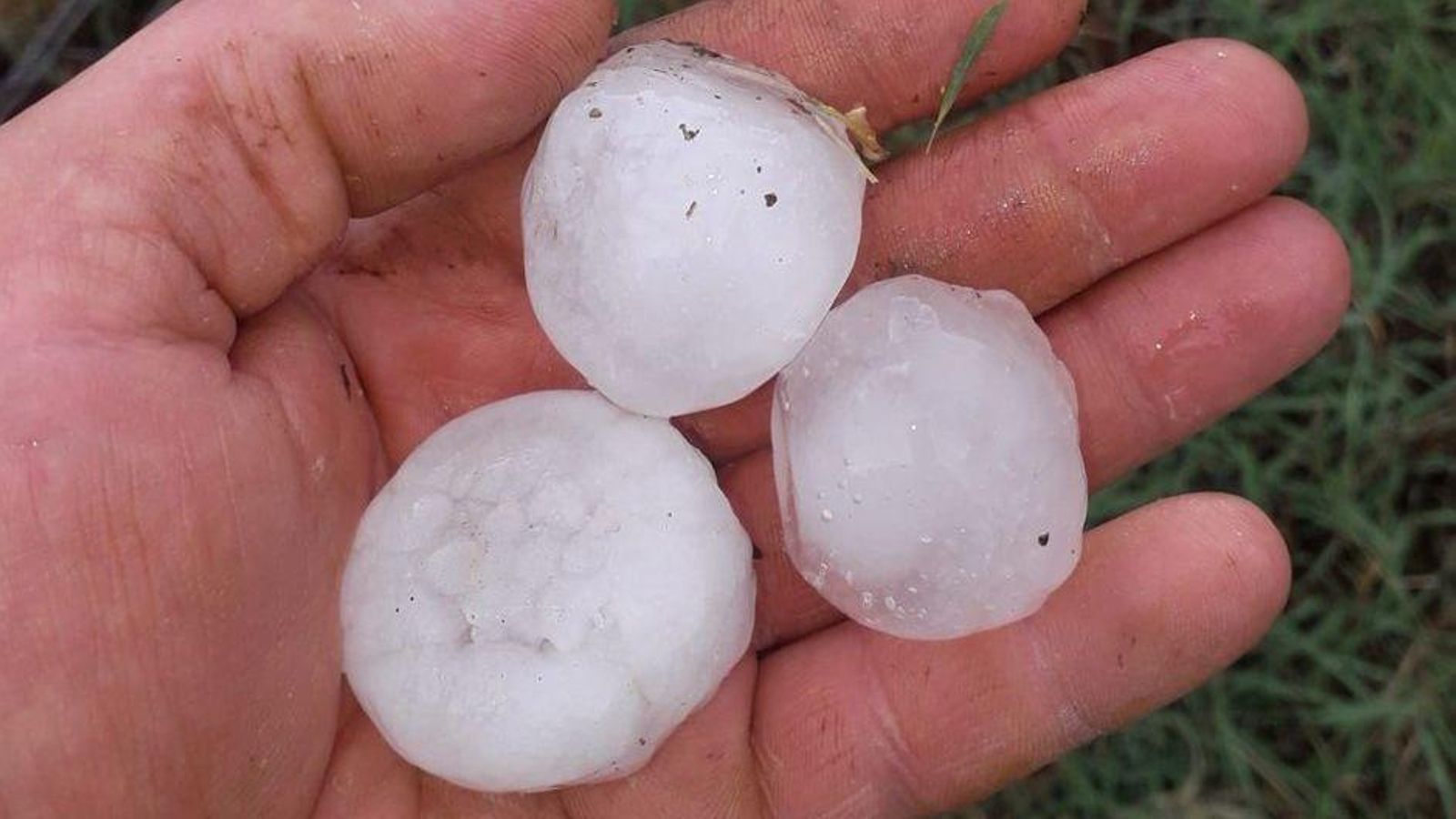 Graníssol a la ciutat de València i àrea metropolitana