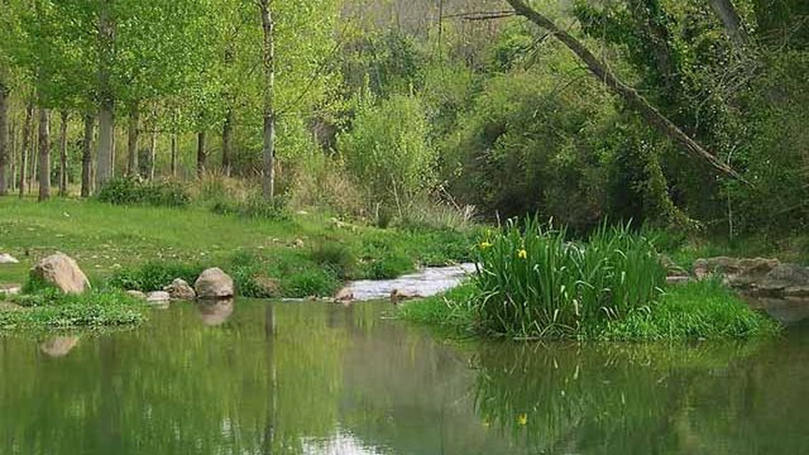 El riu Palància al seu pas per Viver (Alt Palància)