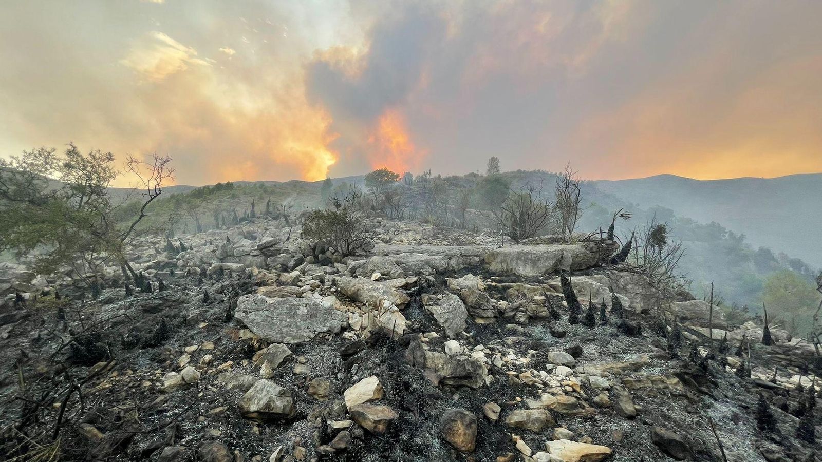 Terra cremada en l'incendi de Vall d'Ebo, en la zona de les Juvees de Dalt