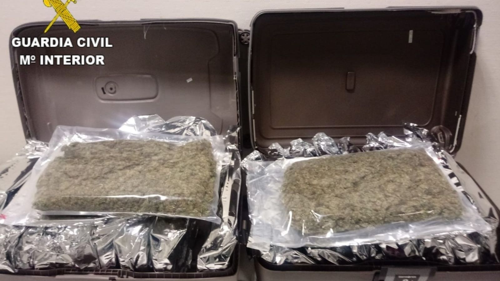 Partida de marihuana requisada per la Guàrdia Civil a l'aeroport d'Alacant-Elx