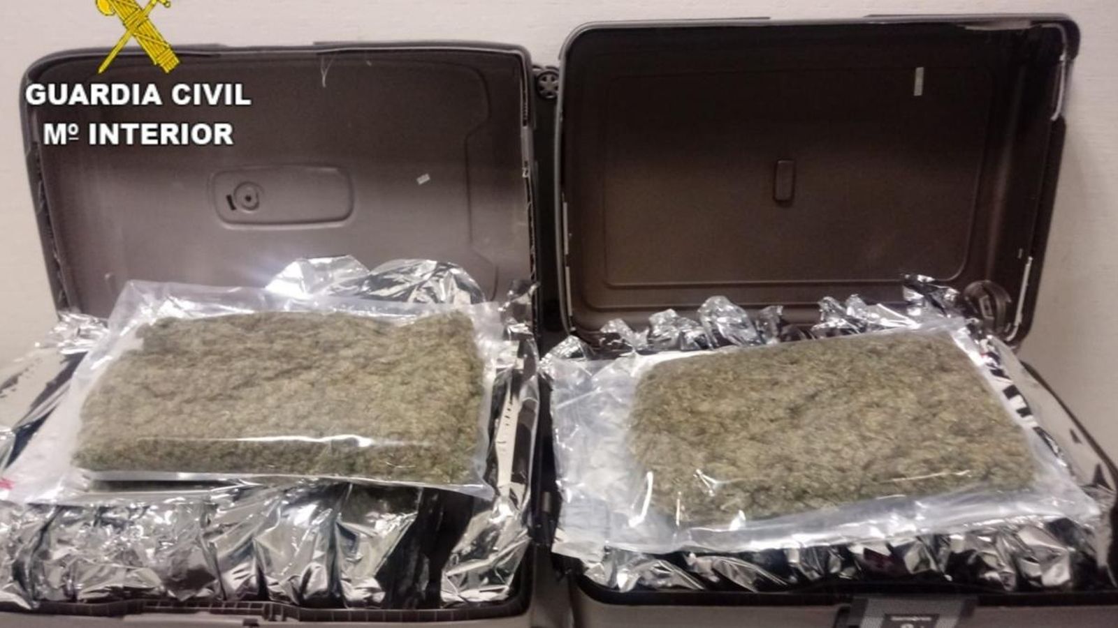 Partida de marihuana requisada per la Guàrdia Civil a l'aeroport d'Alacant-Elx