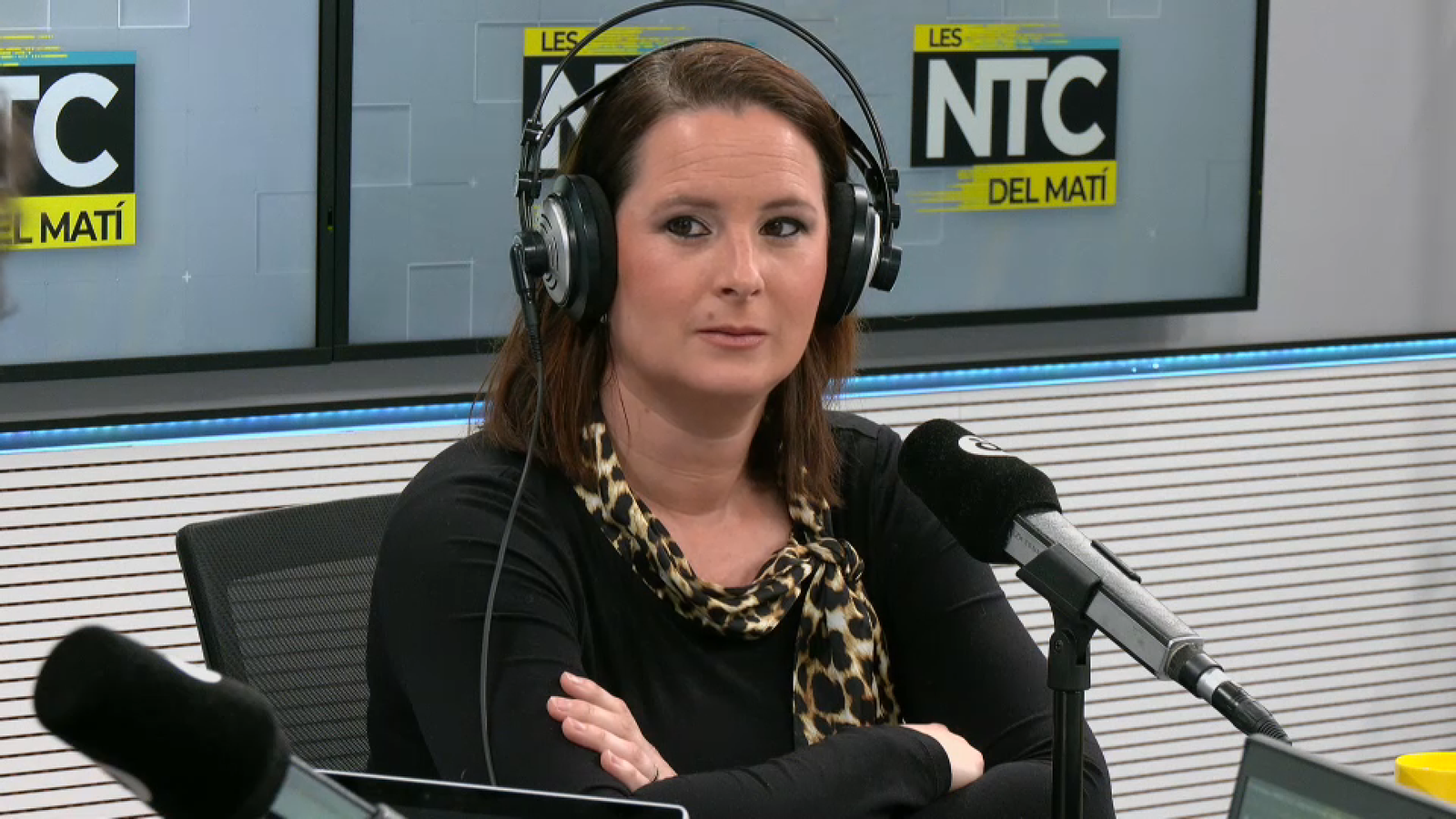 Elena Lluch, gerent d’AVIA