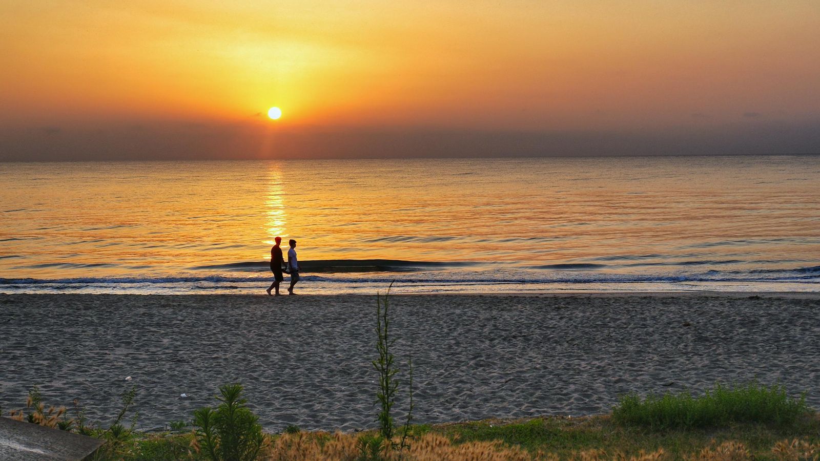 tavrenes de la valldigna julio navarro