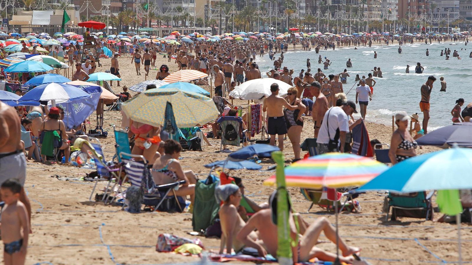 La platja de Llevant de Benidorm, de gom a gom aquest dimecres