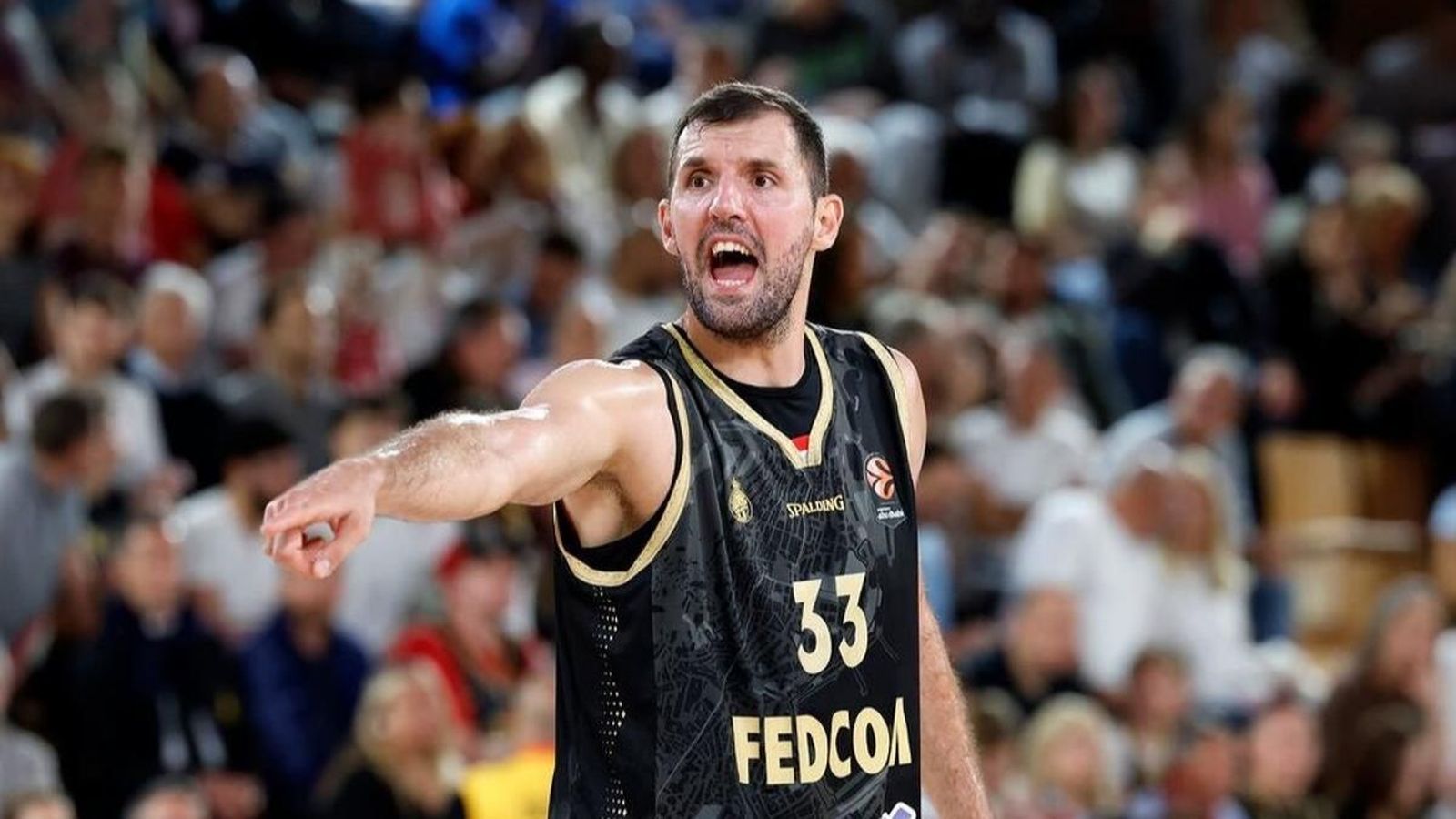 Nicola Mirotic fitxa pel València Basket