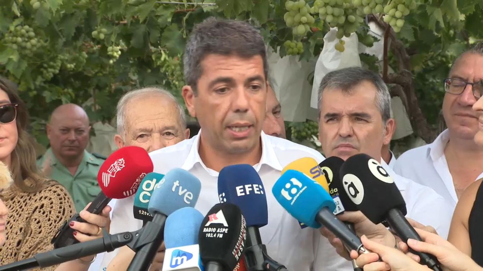 El cap del Consell, Carlos Mazón