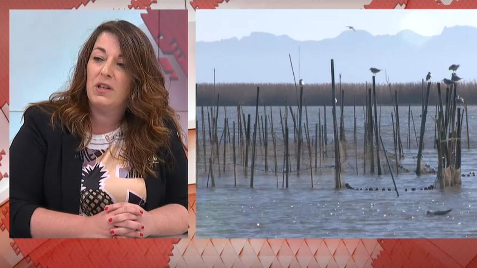 Amanda del Río en 'À Punt Notícies matí'