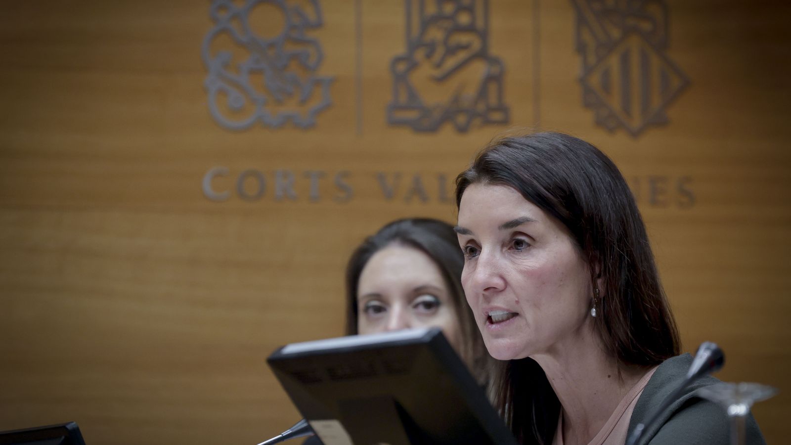 Merino, en una imatge d'arxiu