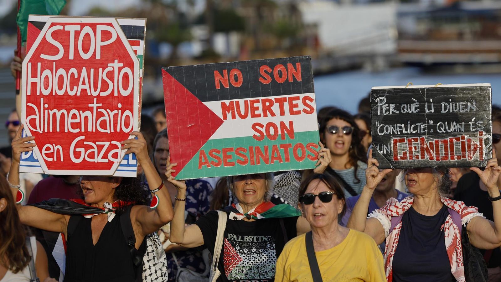 Concentració davant el port de València en protesta per l'arribada d'un barco que suposadament participa en l'enviament d'armes a Israel