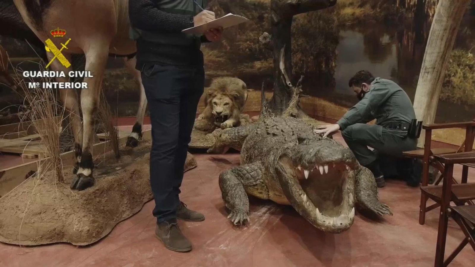 Al magatzem han trobat fins a 70 espècies diferents, algunes de les quals poden ser trofeus de caça