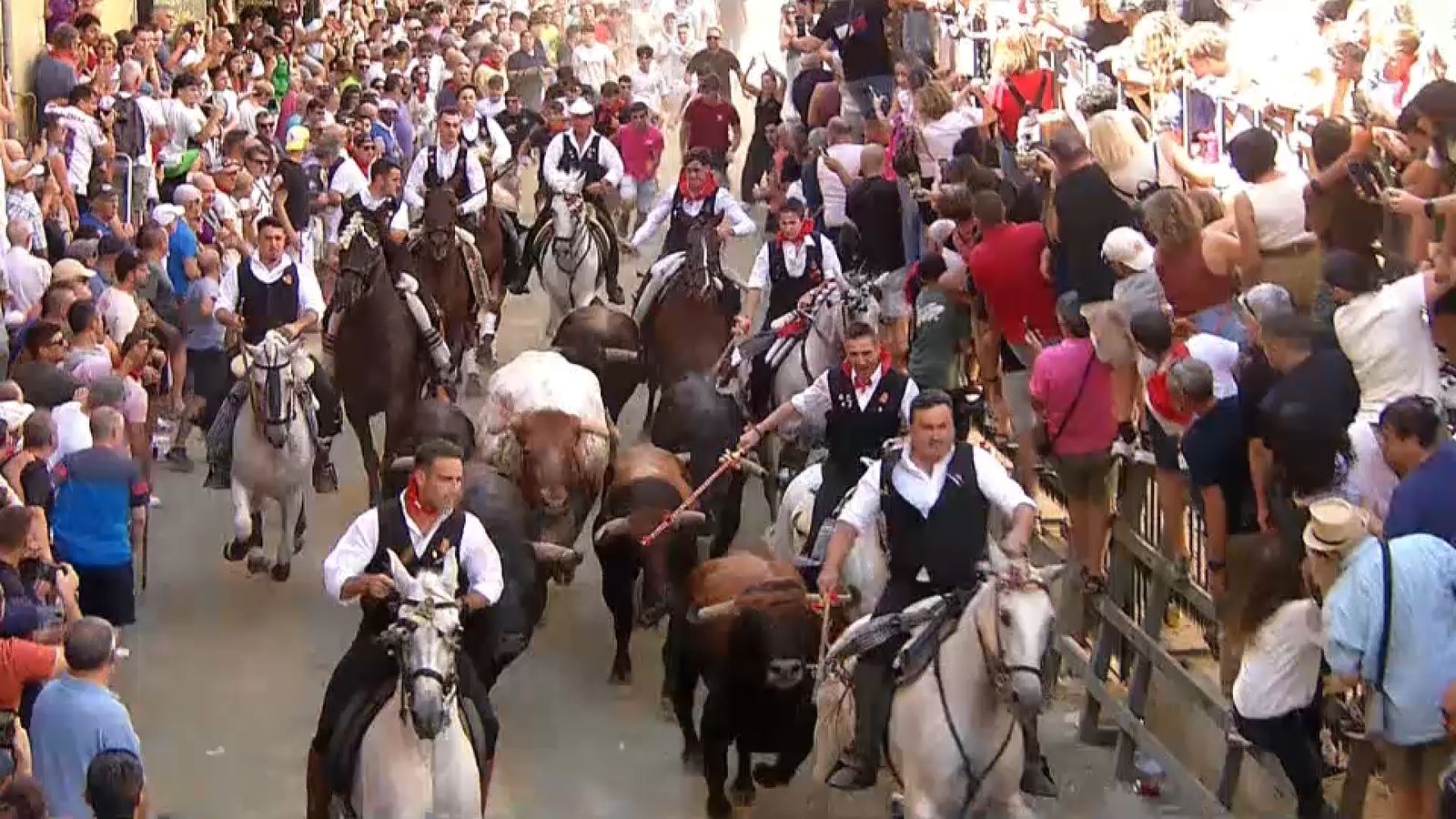 11.09.2026 | ENTRADA BOUS I CAVALLS SEGORBE 2026