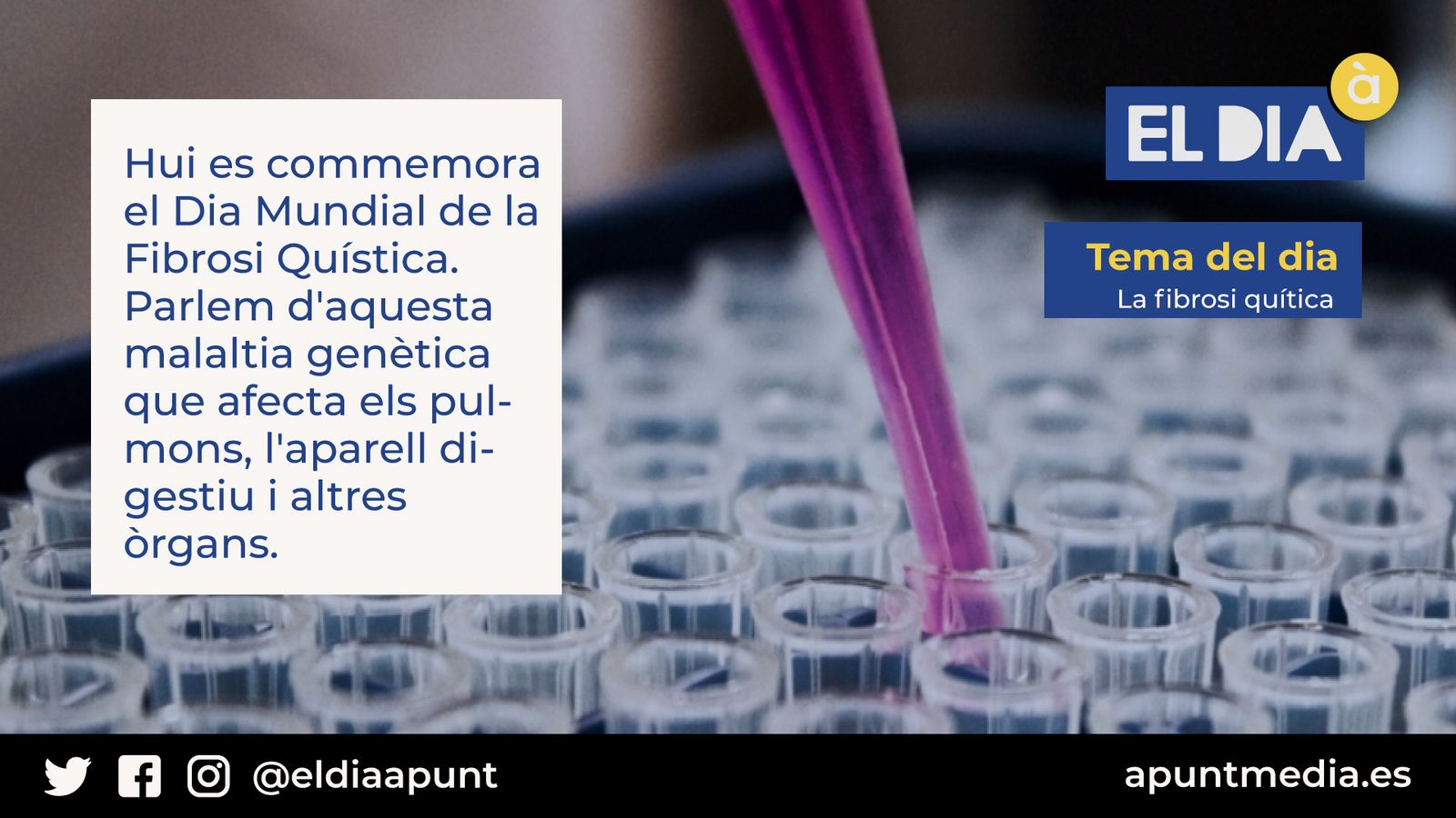 08.09.2020 | El Dia À Punt | Primera hora