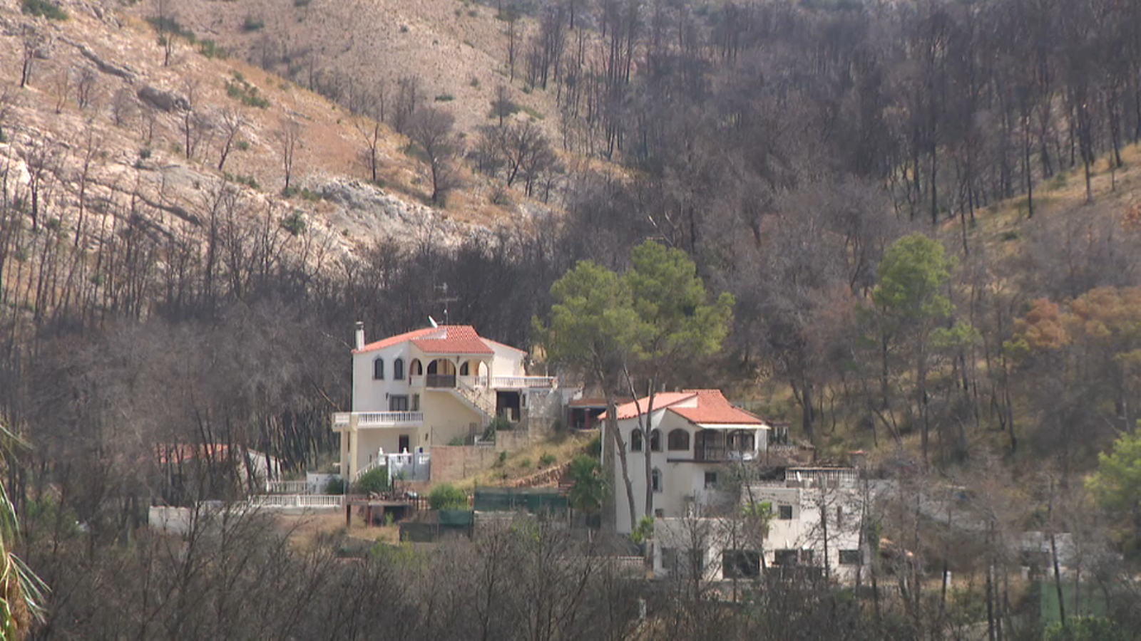 Les lliçons arran de l’incendi de Llutxent