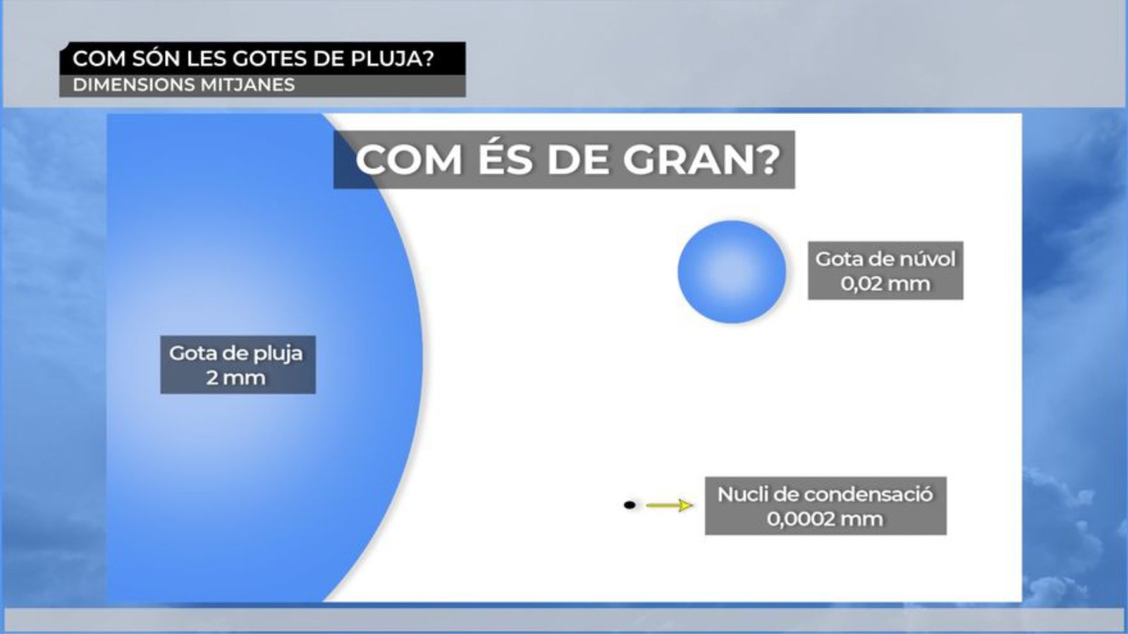 Tamany gotes de pluja.