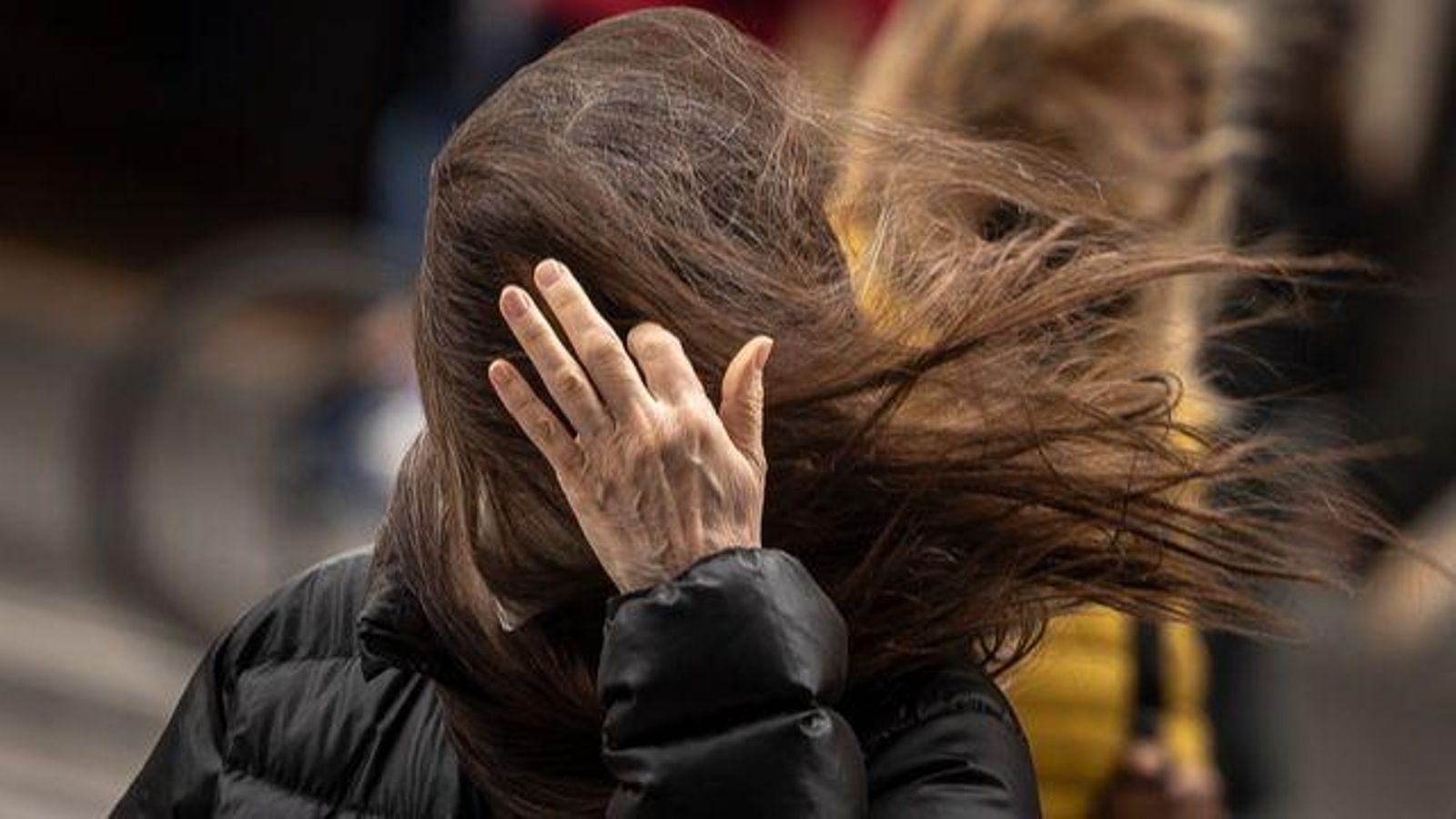 El vent bufarà amb força pràcticament a tot el territori, el que obliga a adoptar precaucions perquè no hi hagen danys personals