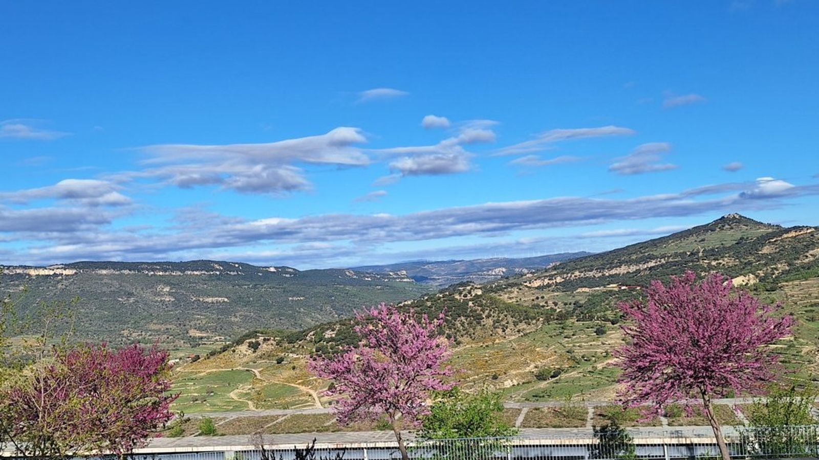 7.JOAN AMELA, Morella, els Ports