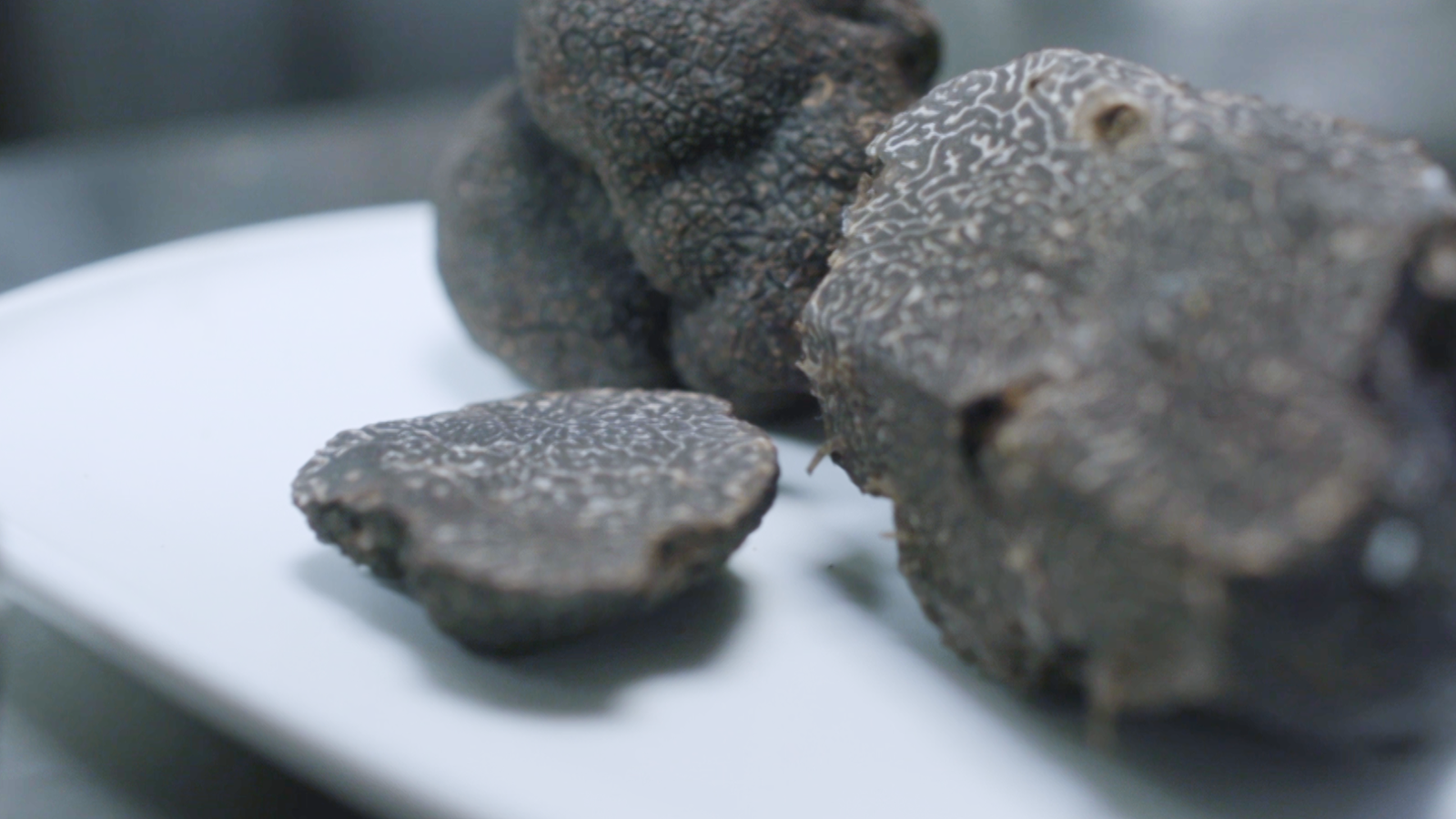 La tòfona, el diamant negre