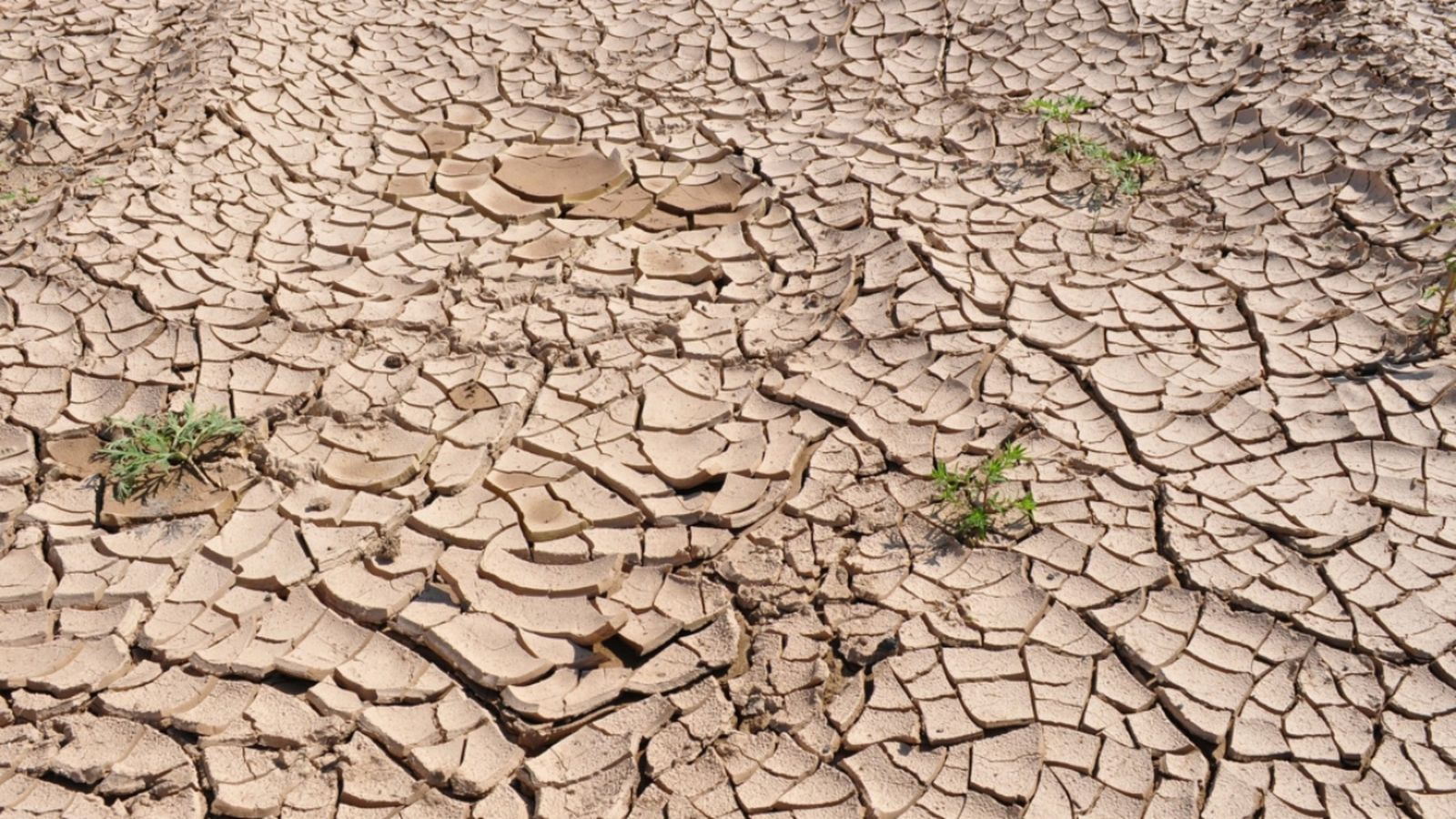En el cas d'Espanya, el país va entrar en dèficit ecològic el passat onze de juliol i ha arribat ja al "dia de la sobrecapacitat de la Terra".