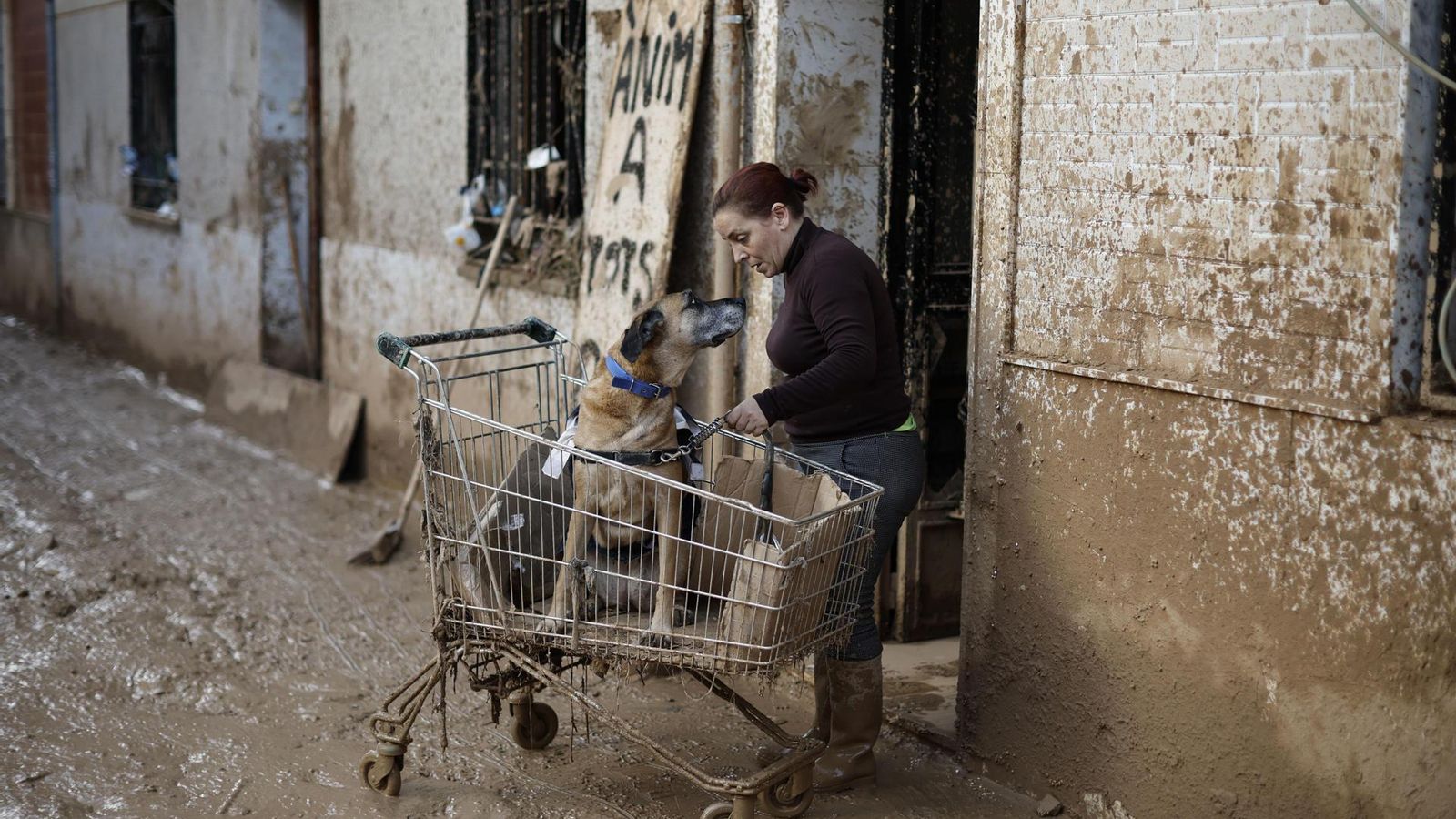 Una veïna de Paiporta afectada per la DANA amb el gos