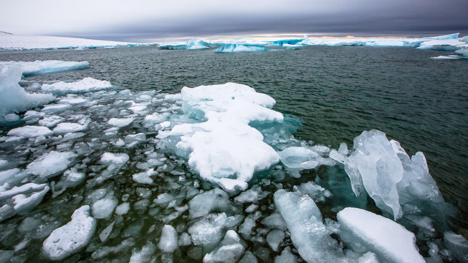 L'oceà Àrtic, el que més ràpid es calfa del món