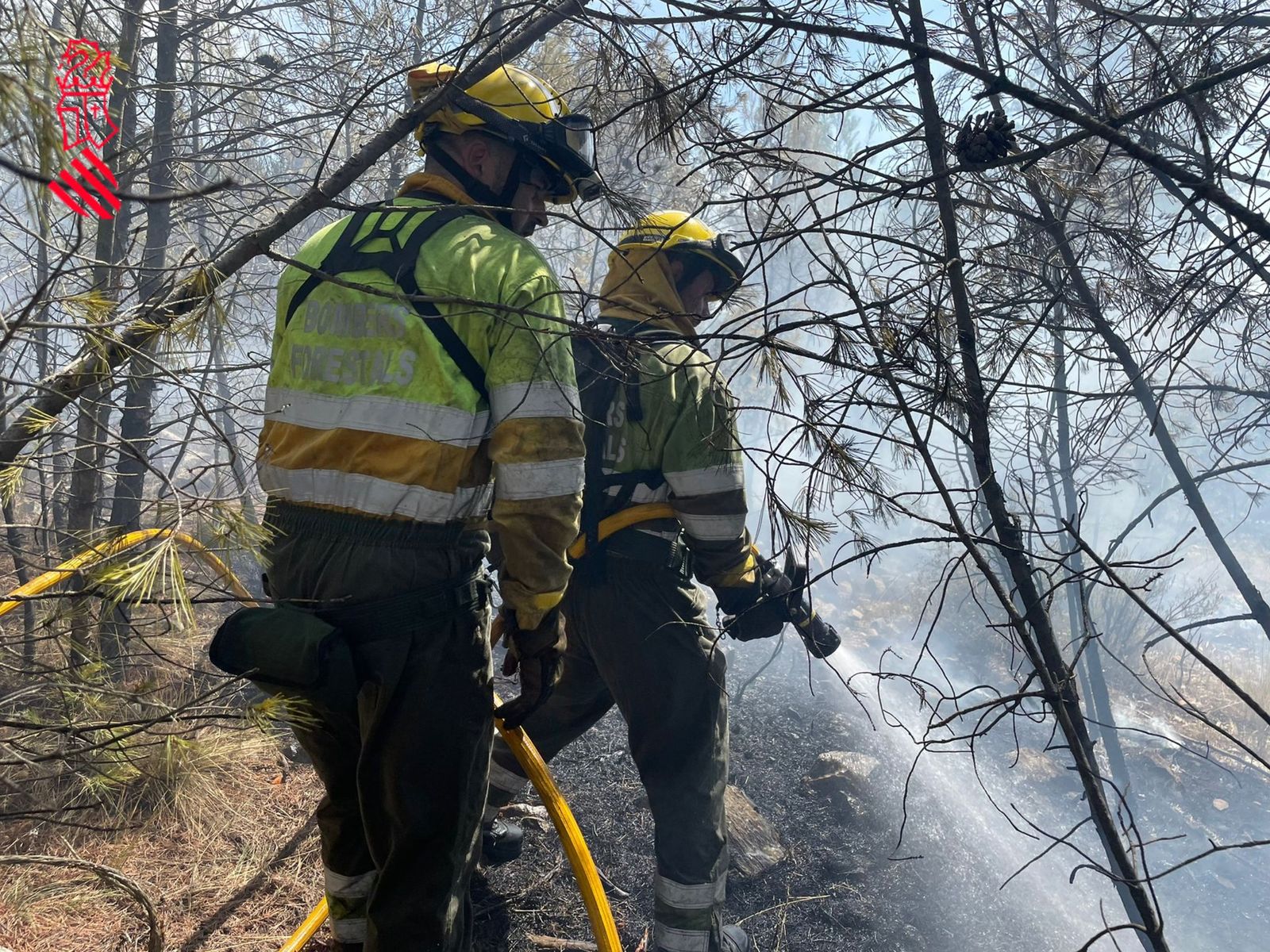 Els bombers forestals de la Generalitat durant les tasques d'extinció