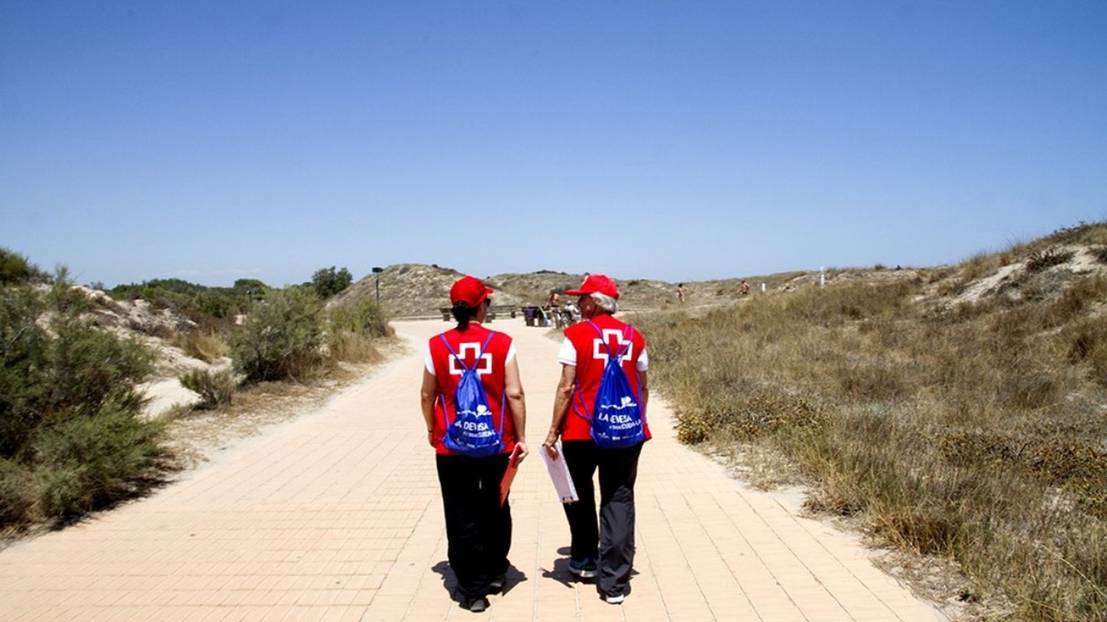 Voluntariat socioambiental a la Muntanya de la Devesa del Parc Natural de l’Albufera
