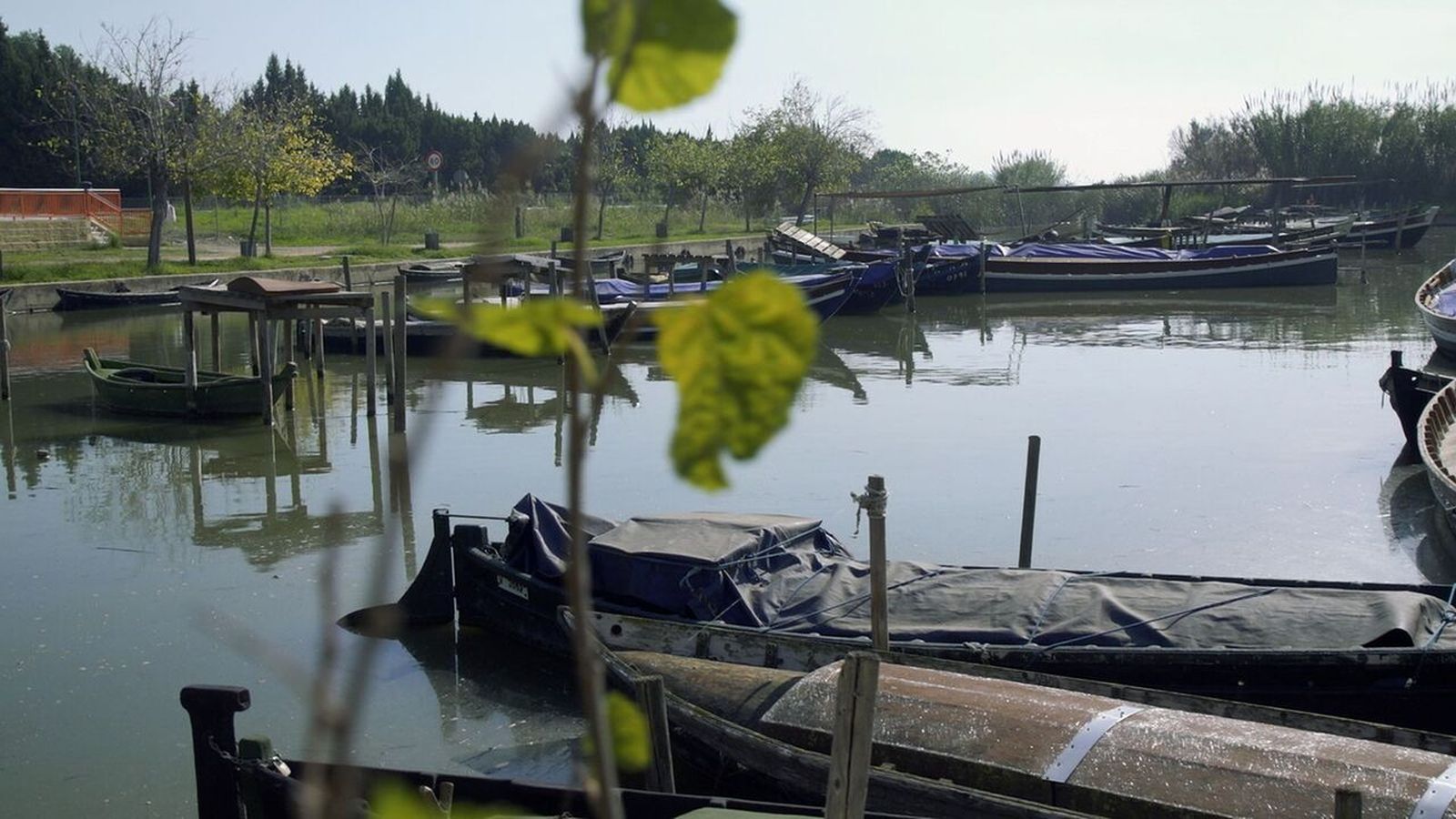 L'Albufera