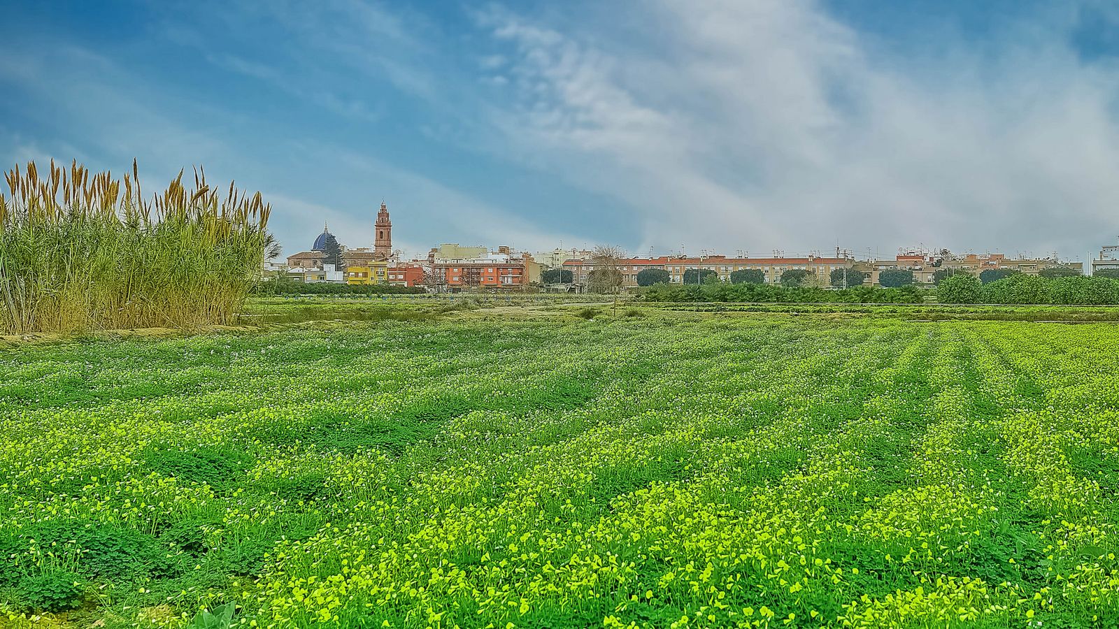ALEJANDRO MUÑOS GARCÍA, Massamagrell, l'Horta Nord