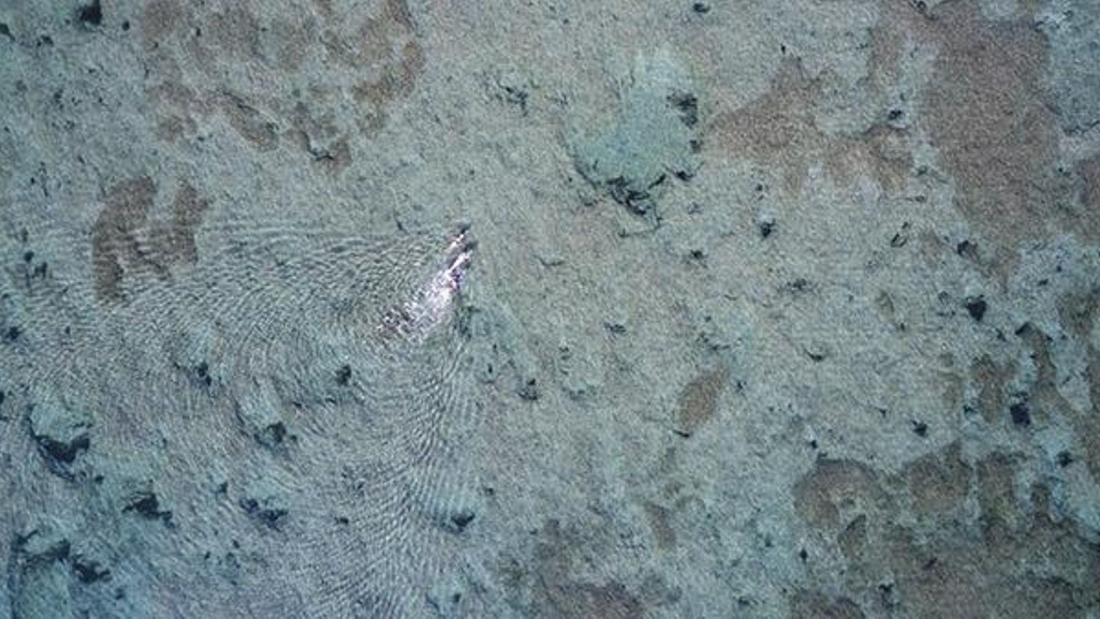 L'aigua transparent d'una de les platges de Dénia