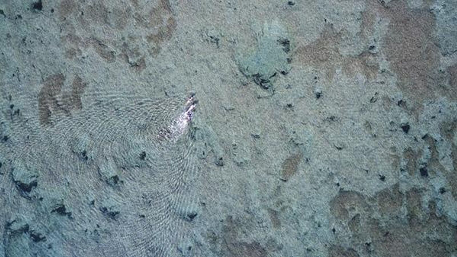 L'aigua transparent d'una de les platges de Dénia