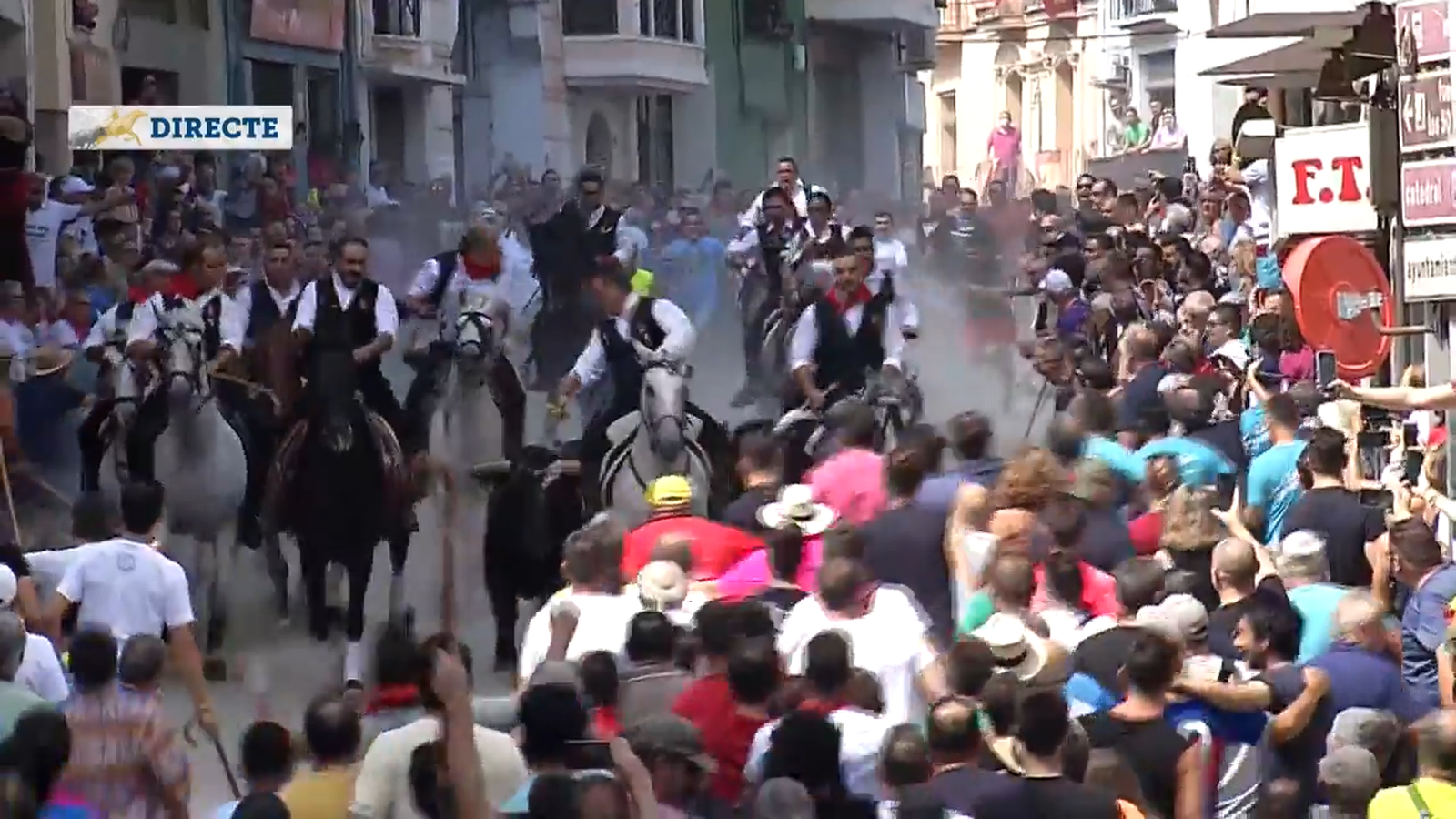 5.9.2022 | ENTRADA DE BOUS I CAVALLS DE SOGORB