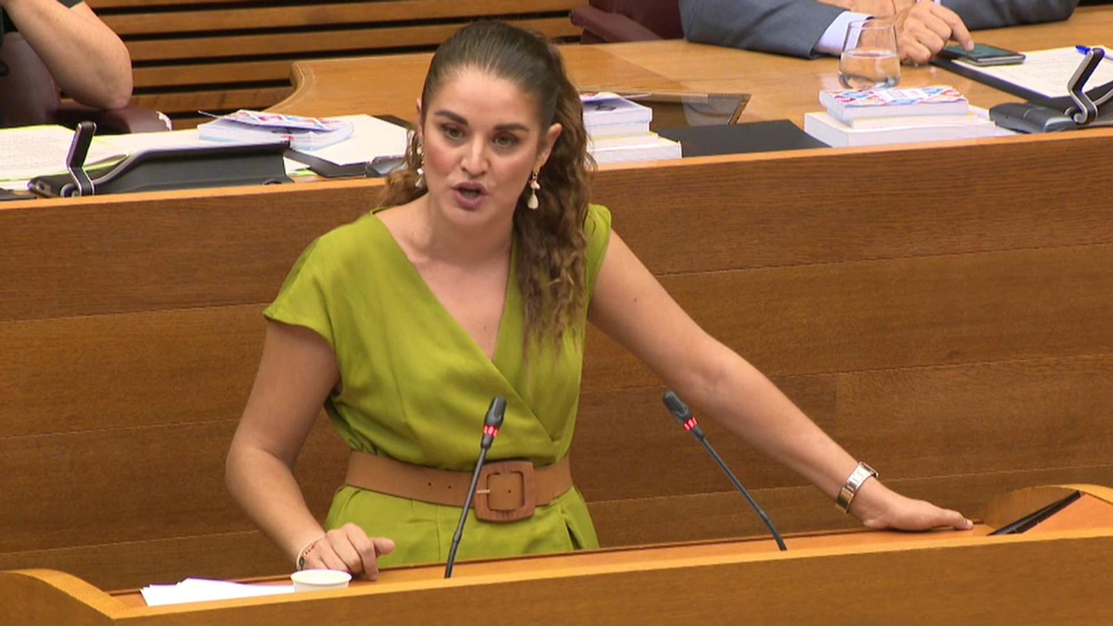 La consellera Mireia Mollà durant la intervenció a les Corts