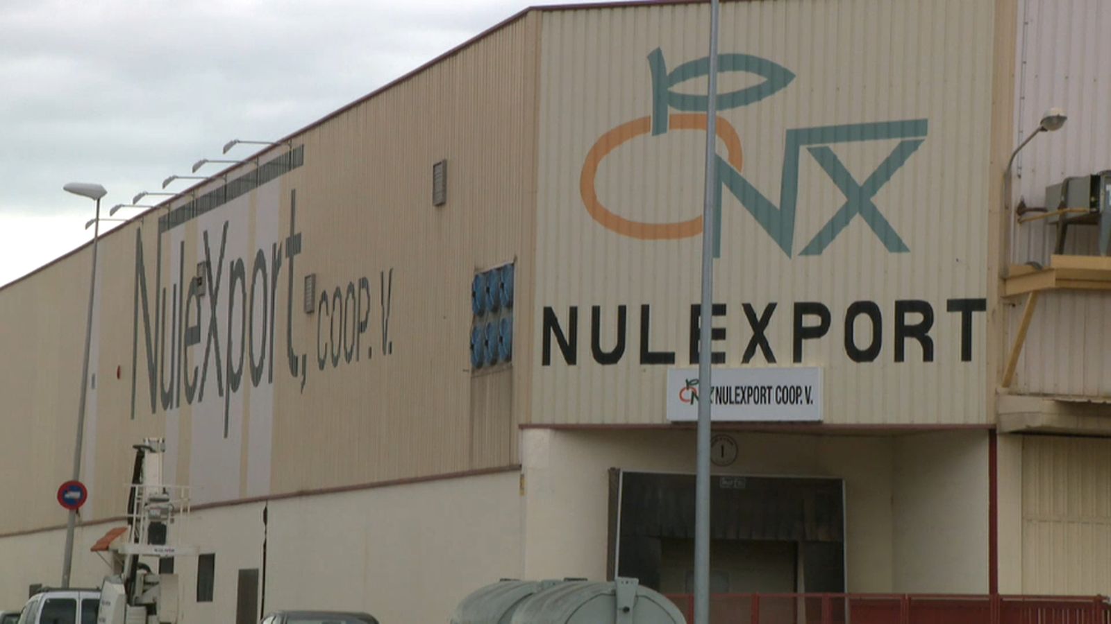 La cooperativa de cítrics més important de Castelló negocia acords amb altres cooperatives per a garantir-ne el futur