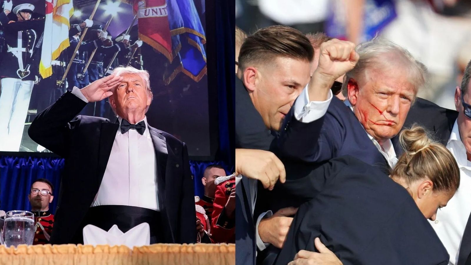 ALBERT NTC 1920x1080 (2)