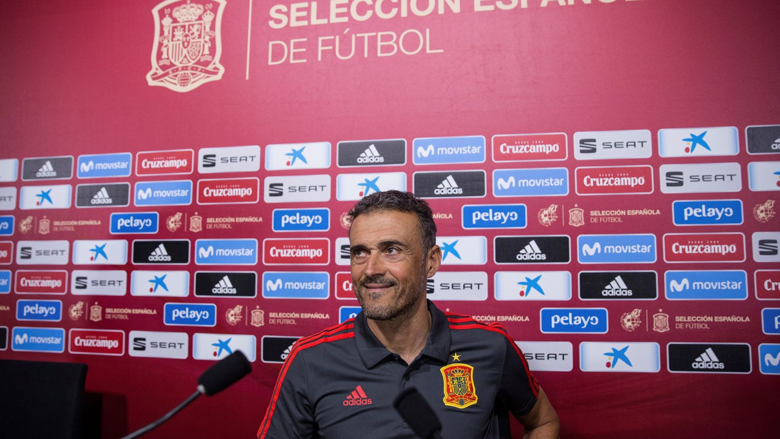 Luis Enrique compareix davant els mitjans de comunicació